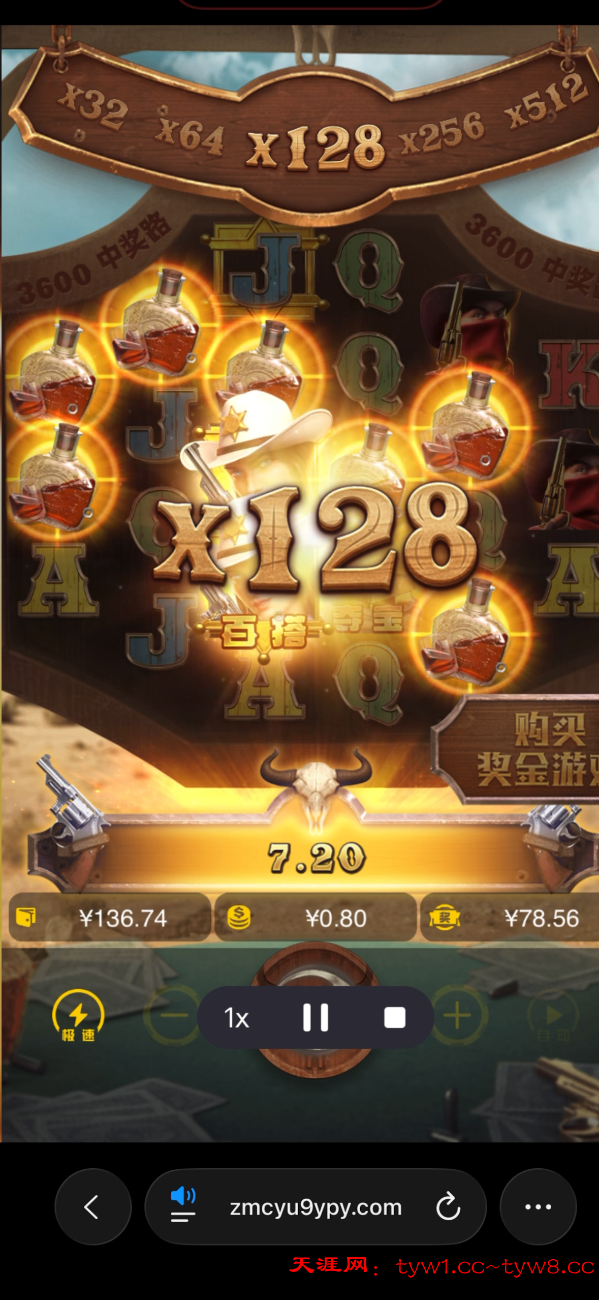 IMG_9559.png